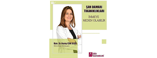 Şah Damarı Tıkanıklıkları İnmeye Neden Olabilir